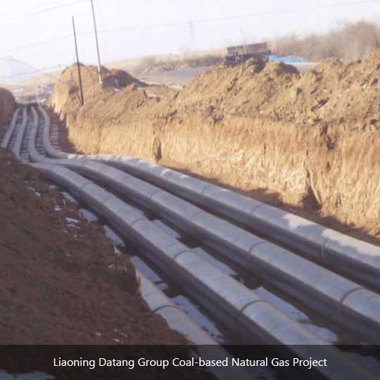 Liaoning Datang Group Coal-based Natural Gas Project